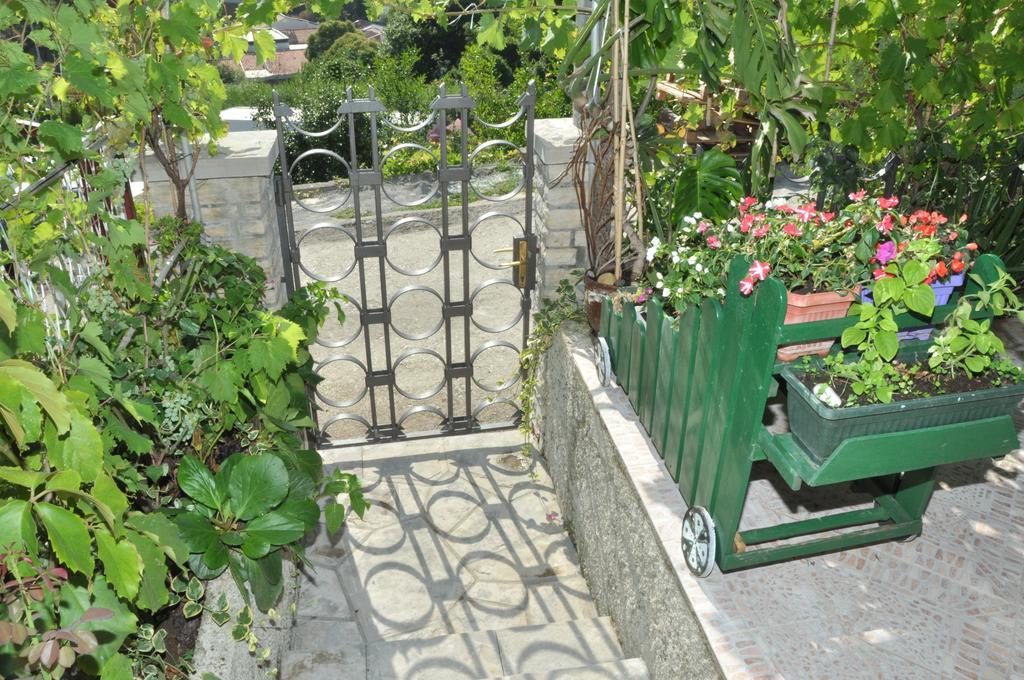 Apartments La Dolce Vita ヘルツェグ・ノヴィ エクステリア 写真